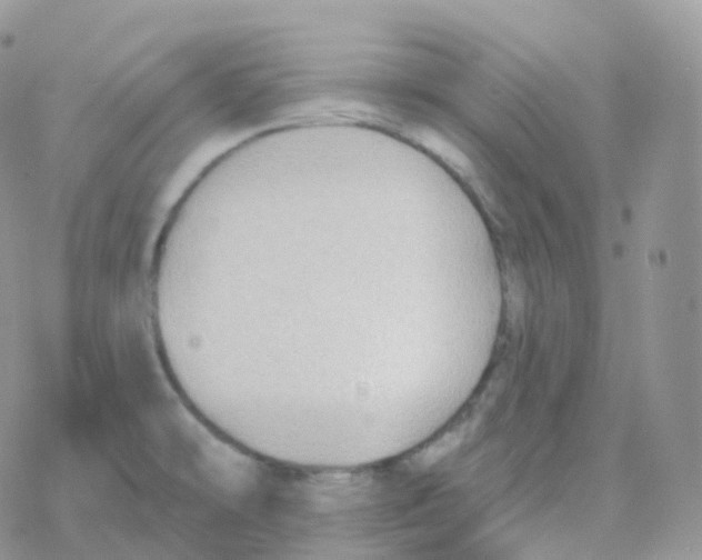 X0000078311478200611251521