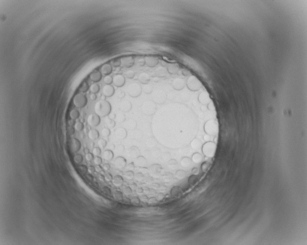 X0000078311479200611251521