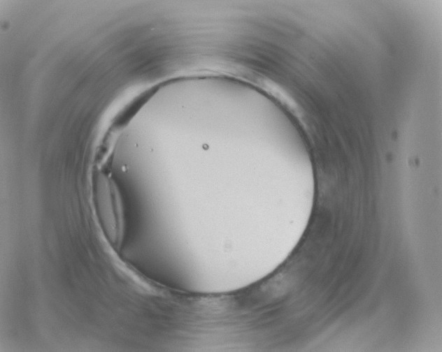 X0000078311480200611251521