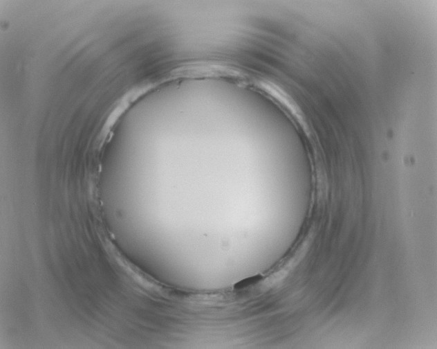 X0000078311481200611251521