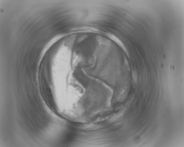 X0000078311482200611251521