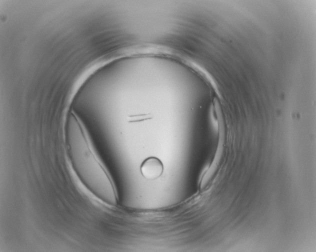 X0000078311483200611251521