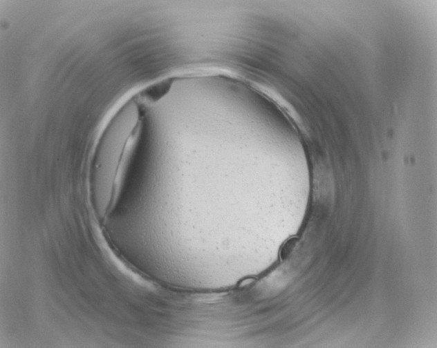 X0000078311484200611251521