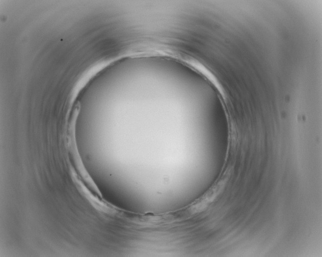 X0000078311485200611251521