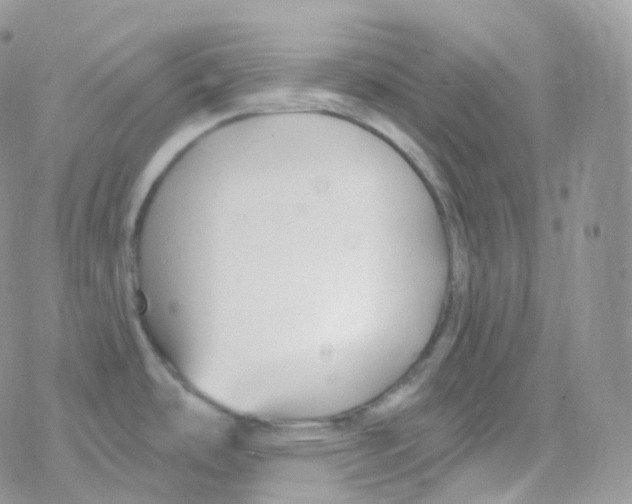 X0000078311486200611251521