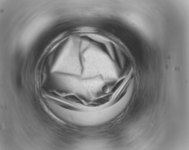 X0000078311487200611251521