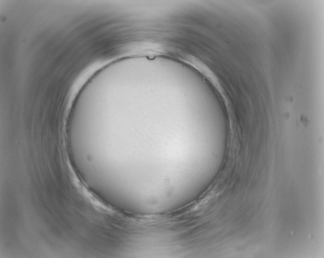 X0000078311488200611251521