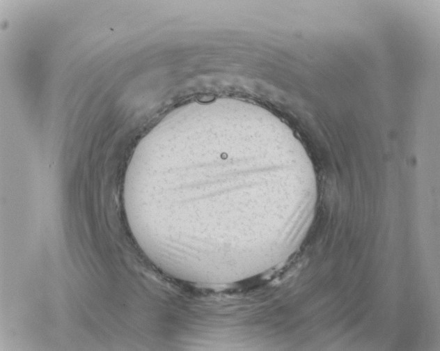 X0000078311489200611251520