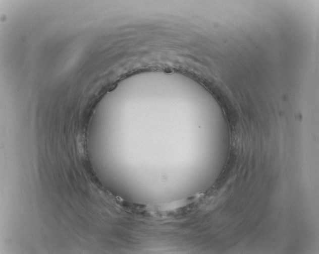 X0000078311490200611251520