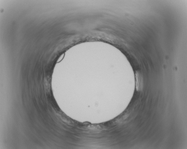 X0000078311491200611251520