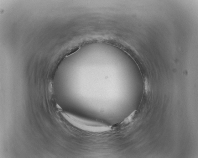 X0000078311492200611251520