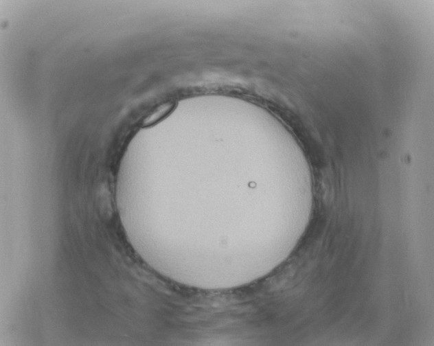 X0000078311493200611251520