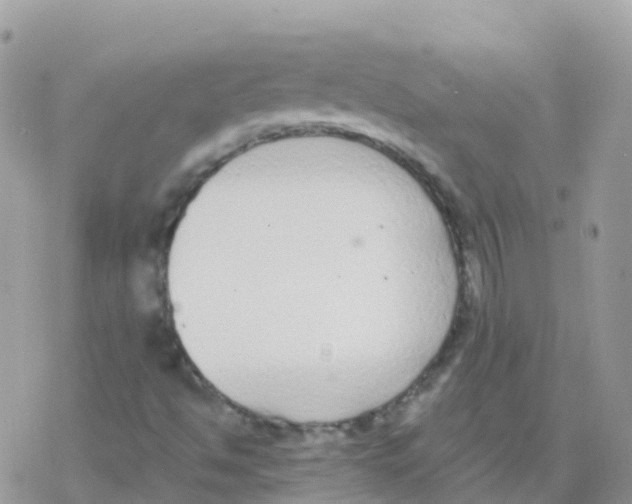 X0000078311494200611251520