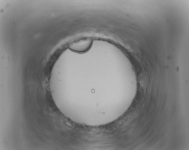 X0000078311495200611251520