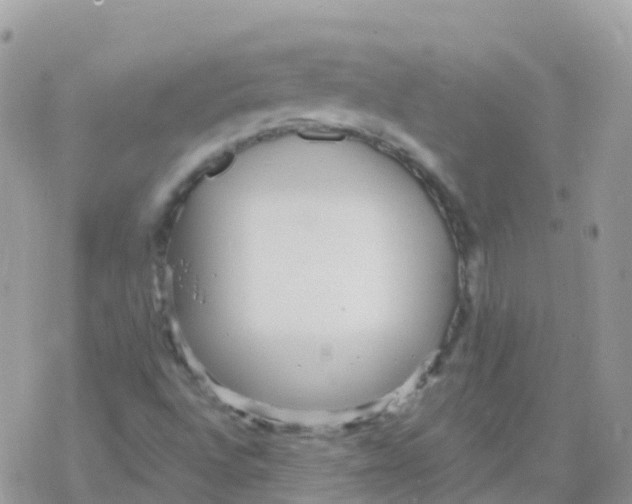 X0000078311496200611251520