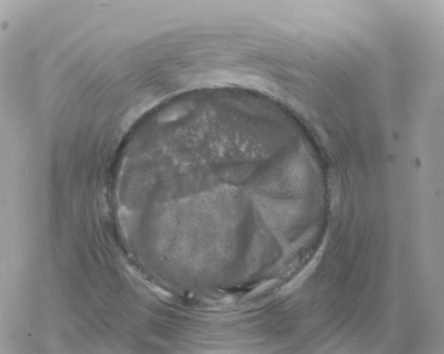 X0000078311497200611251520