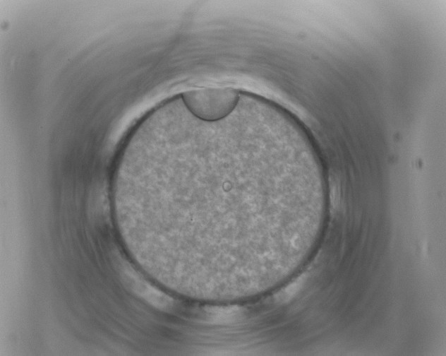 X0000078311498200611251520