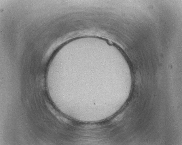 X0000078311499200611251520