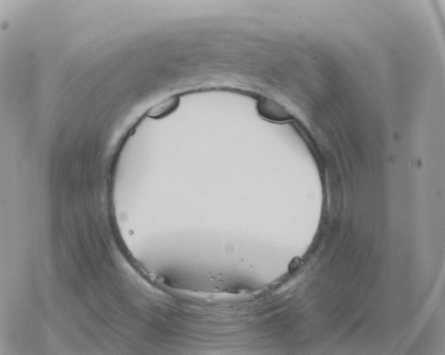 X0000078311500200611251520