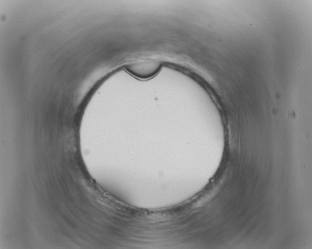 X0000078311501200611251520