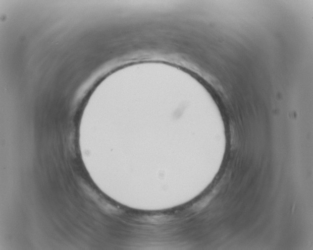 X0000078311502200611251520