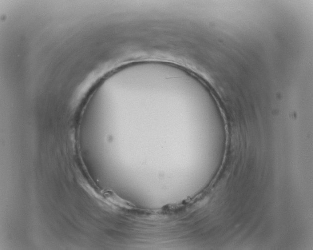 X0000078311503200611251520