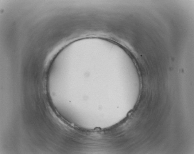 X0000078311504200611251520