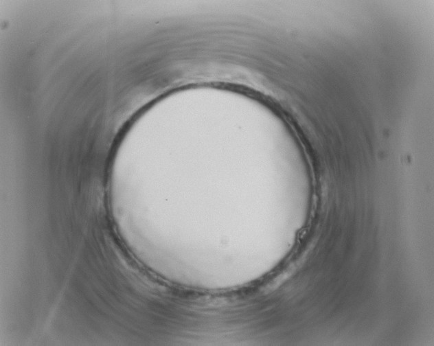 X0000078311505200611251520