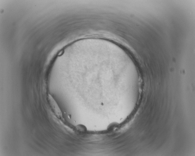 X0000078311506200611251520