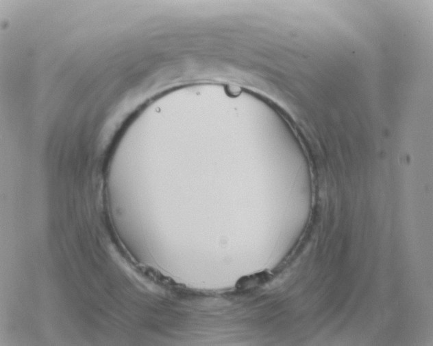 X0000078311507200611251520