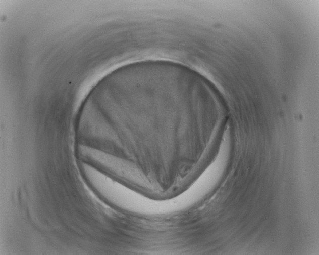 X0000078311508200611251520