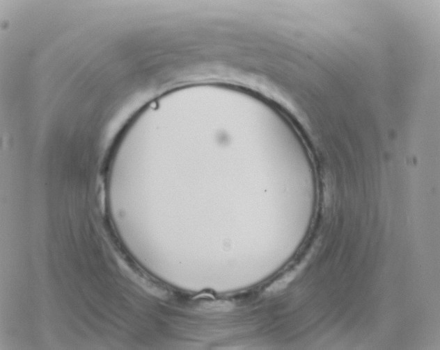 X0000078311509200611251520