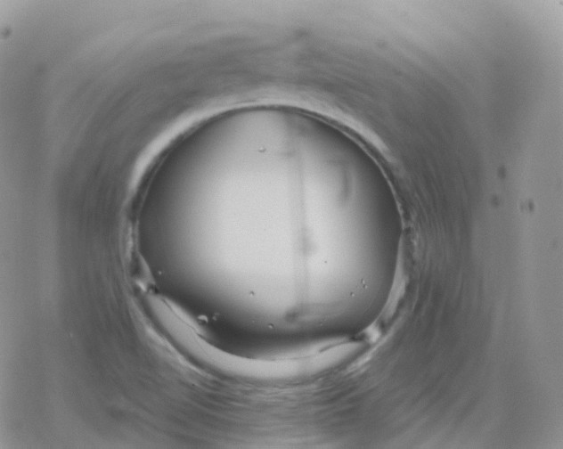 X0000078311510200611251520