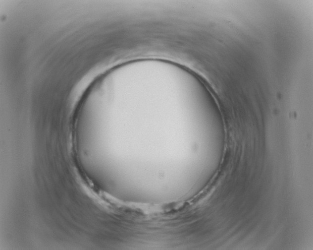 X0000078311511200611251520