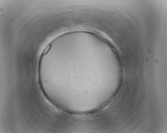 X0000078311512200611251520