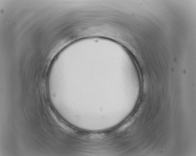 X0000078311513200611251520