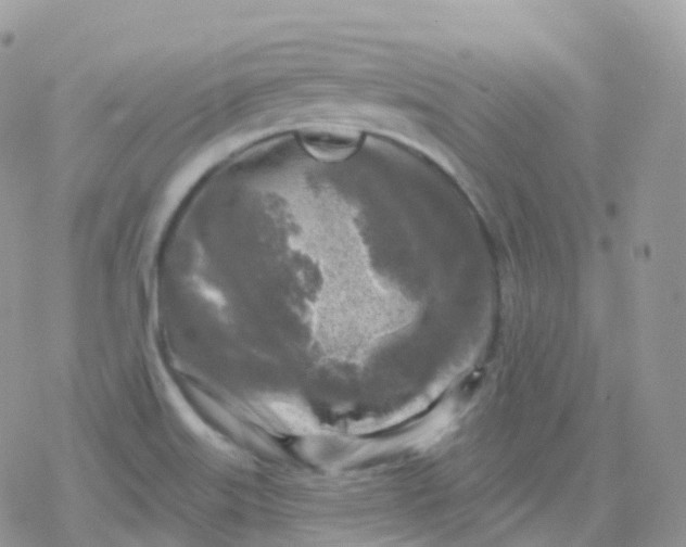 X0000078311515200611251520