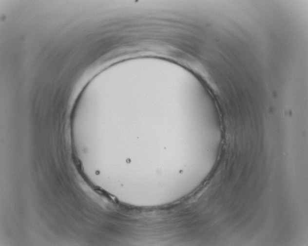 X0000078311516200611251520