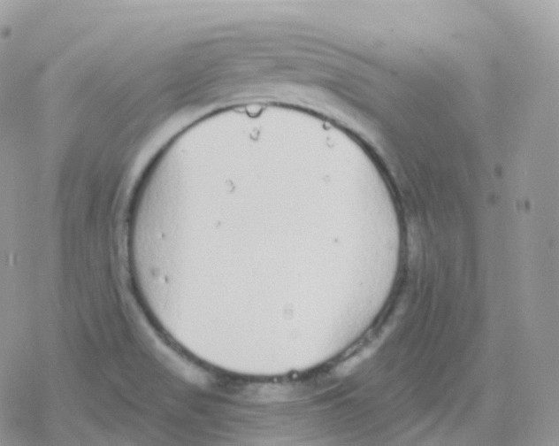 X0000078311517200611251520