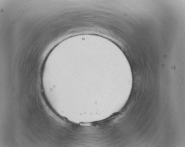 X0000078311518200611251520