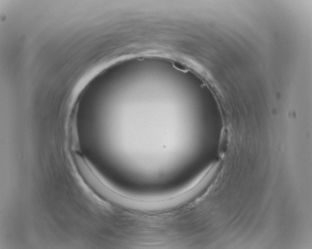 X0000078311520200611251521