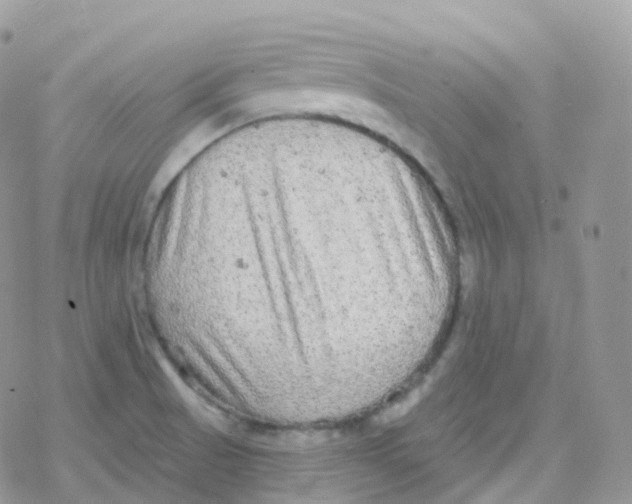 X0000078311521200611251521