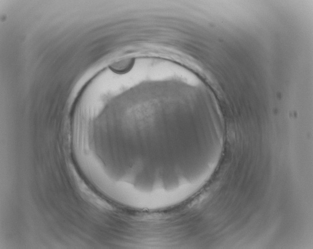 X0000078311522200611251521