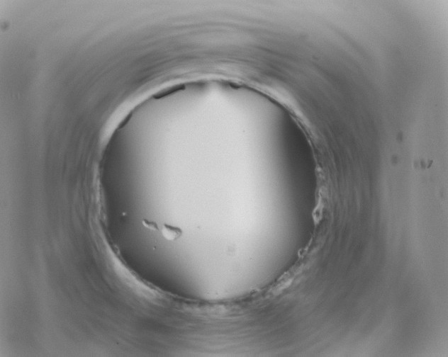 X0000078311524200611251521