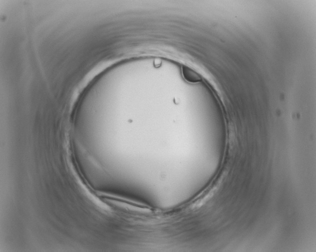 X0000078311525200611251521