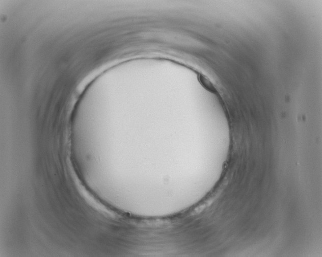 X0000078311526200611251521