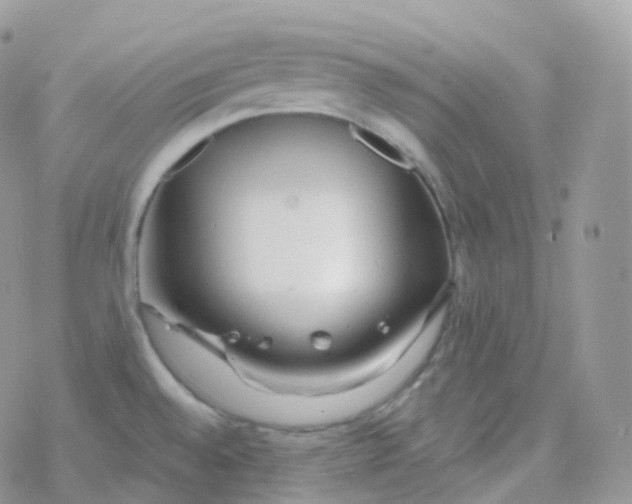 X0000078311528200611251521