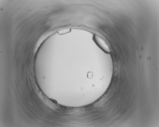 X0000078311530200611251521