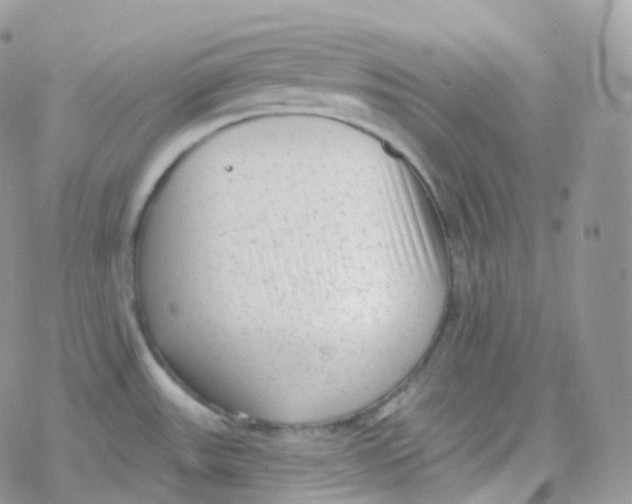 X0000078311531200611251521