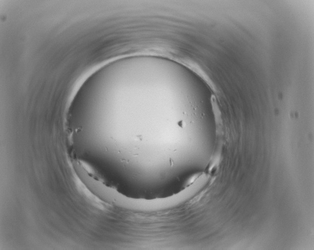 X0000078311532200611251521